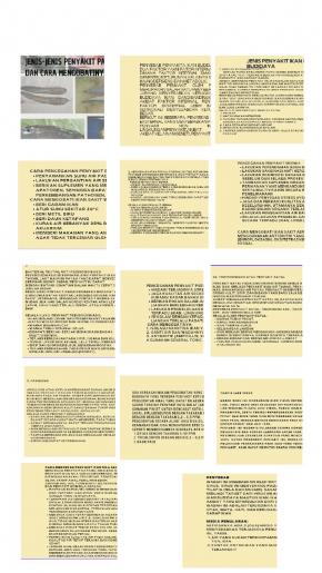 Jenis jenis Penyakit pada iKan Budidaya dan cara Mengobatinnya